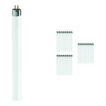 Confezione Multipack 25x Philips MASTER Super 80 T5 Short 8W - 830 Luce Calda | 29cm